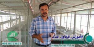 آموزش قرقاول فدک